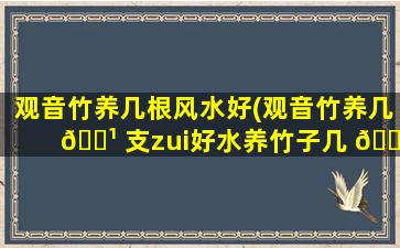观音竹养几根风水好(观音竹养几 🌹 支zui
好水养竹子几 🐛 根好)